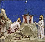 Joachim-s Sacrificial Offering, GIOTTO di Bondone